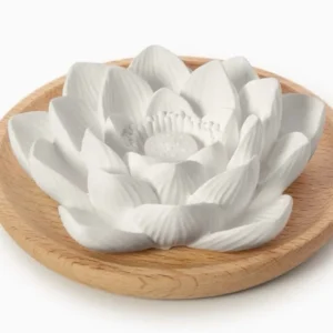 Aroma Duftstein Lotusblüte