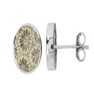 Ohrstecker versteinerte Koralle rund (12mm), 1,4cm, platiniert