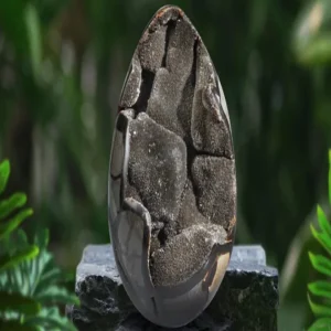 Drachen-Ei Septarie, 16cm, Unikat 008