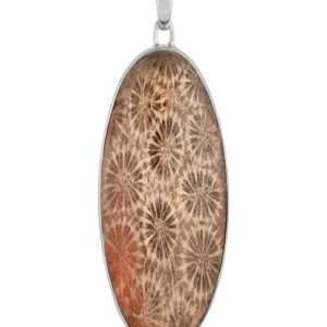 Anhänger versteinerte Koralle oval 45x30mm rhodiniert 5,5cm